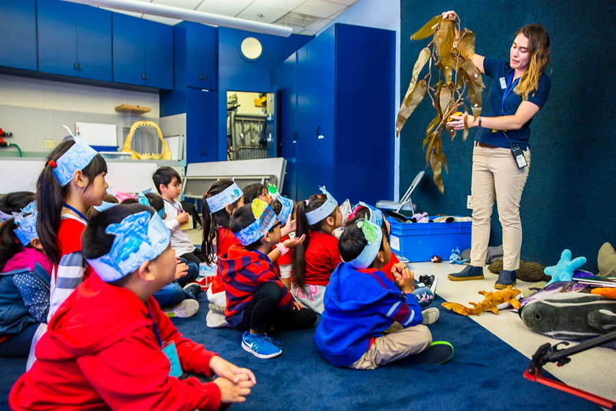 Educator in classroom holding kelp