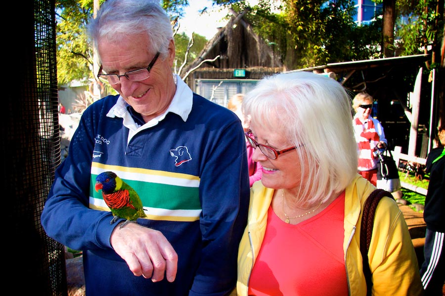 Senior couple with lorikeet