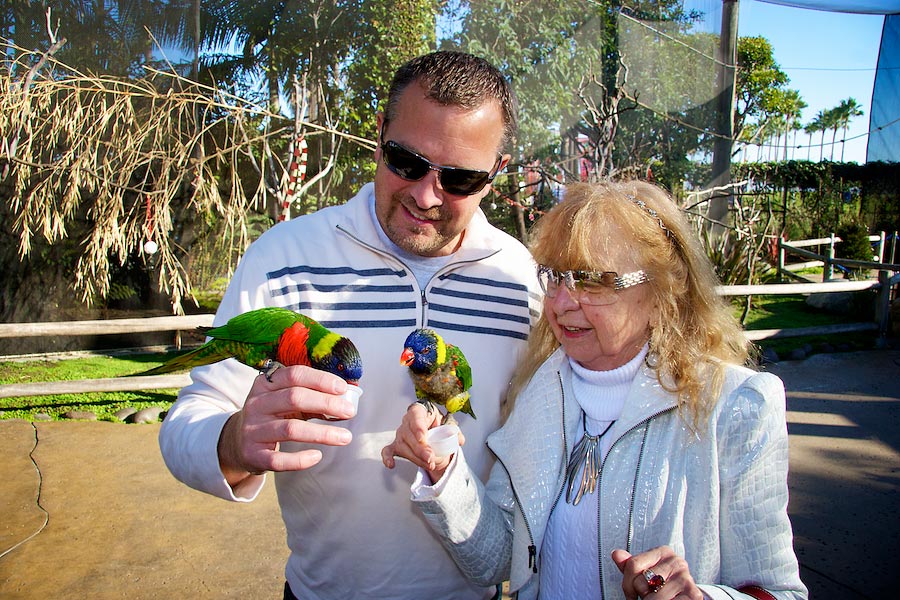 two people with lorikeets on their hands