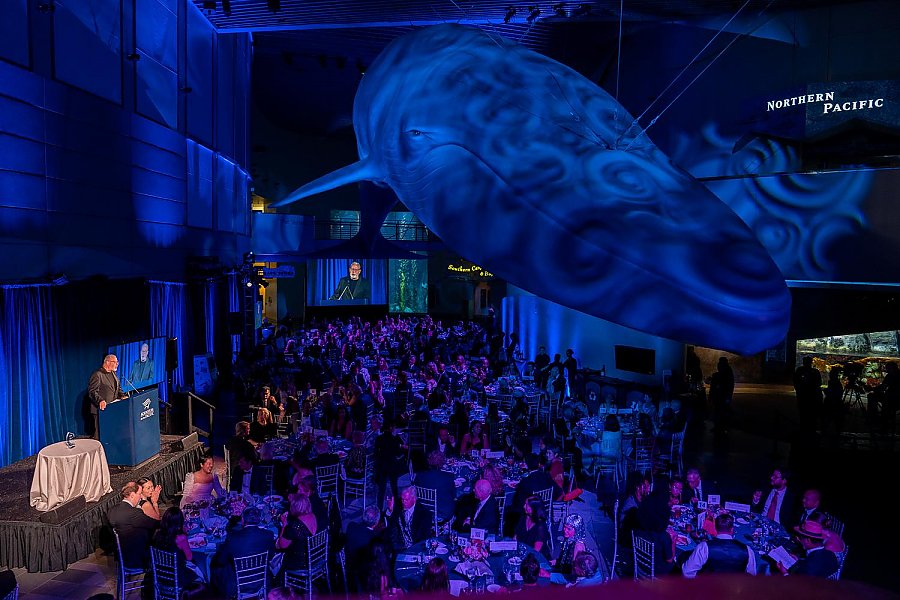 A speaker at a podium addressing an audience at a formal event in Great Hall, with a large, illuminated sculpture of the blue whale suspended overhead.