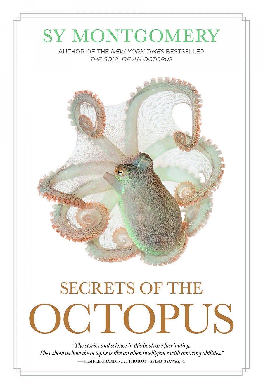 Secrets_of_the_Octopus.jpg