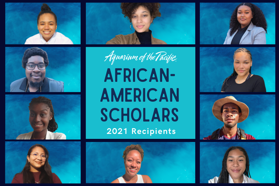 African American Scholars 2021 Recipient collage