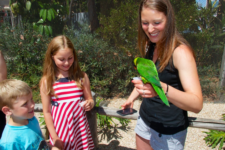 Young boy and girl smile as woman holding a nectar cup feeds the lorikeet perched on her wrist.